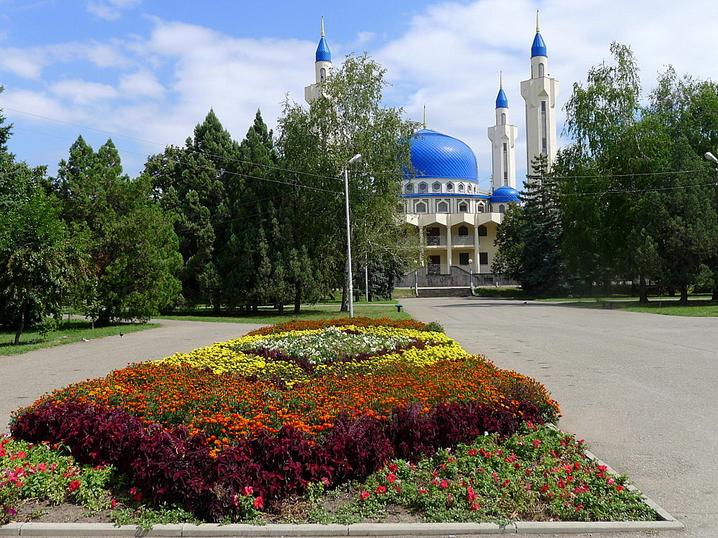 Maykop city view